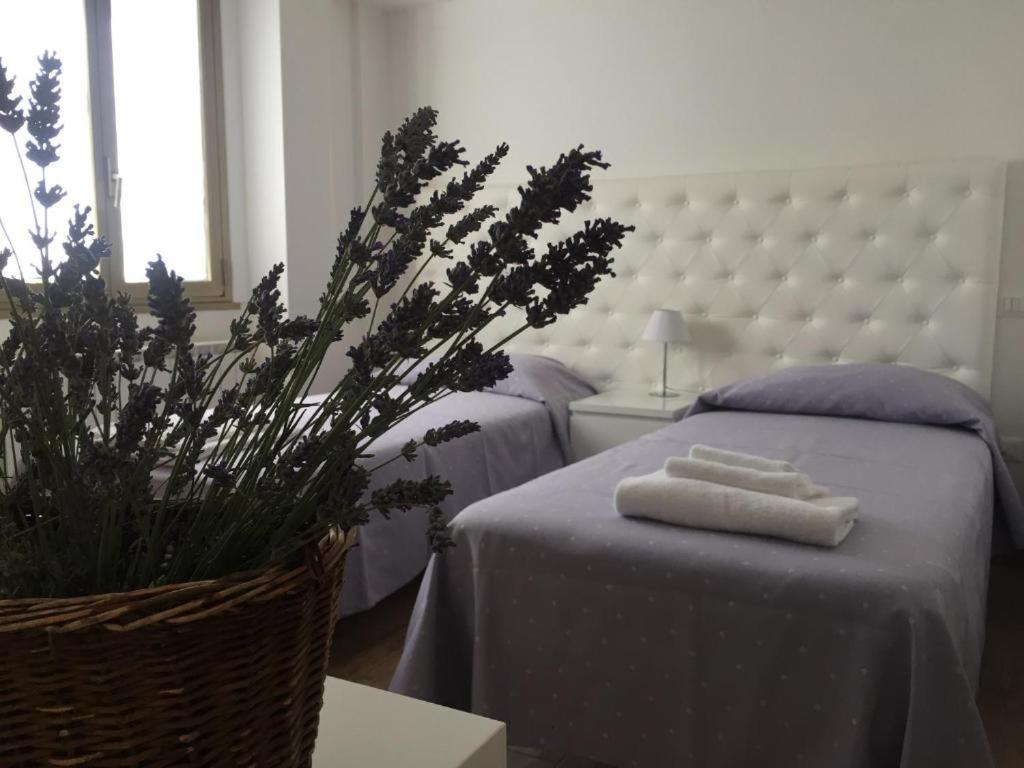 Itaka Bed & Breakfast LʼAquila Eksteriør bilde